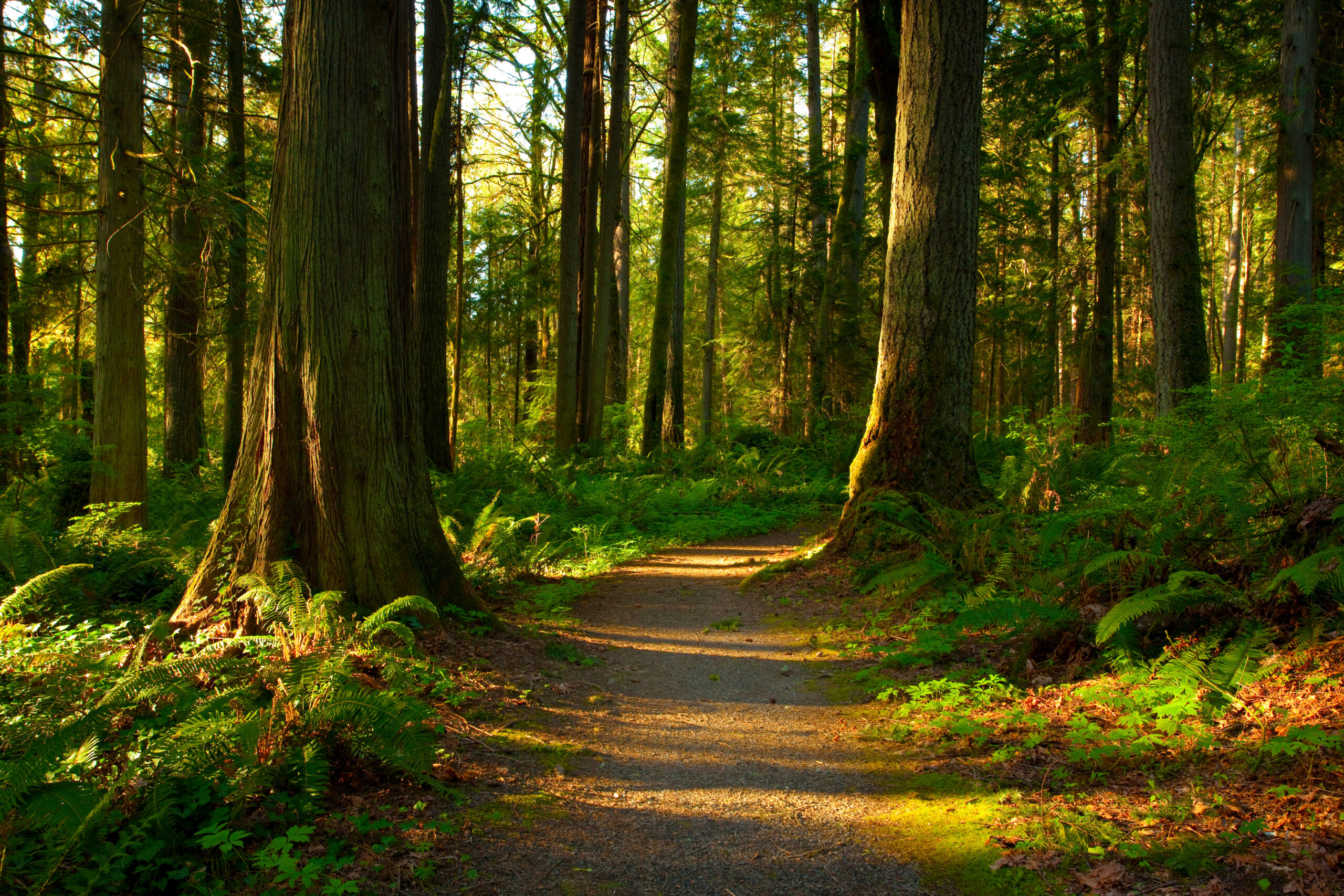 Advancing circular economies through policy advocacy