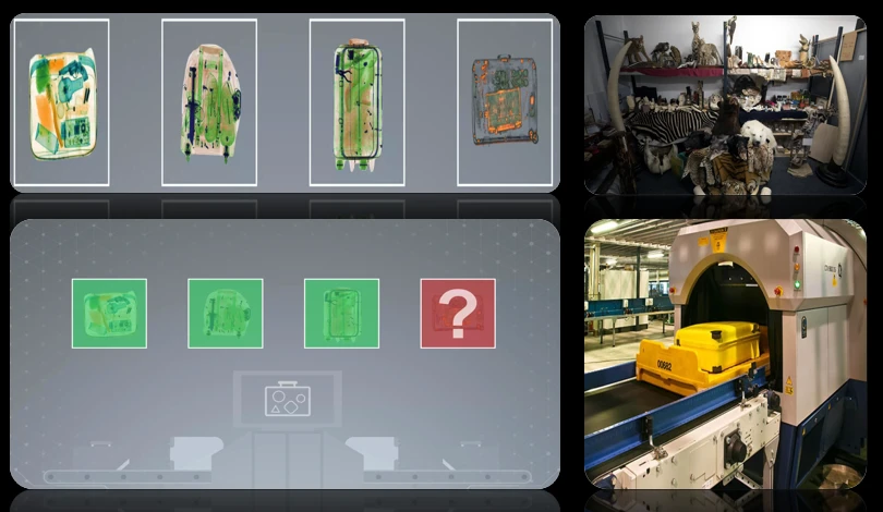 Microsoft's Project SEEKER technology improves detection rates of illegally trafficked wildlife at ports and borders.