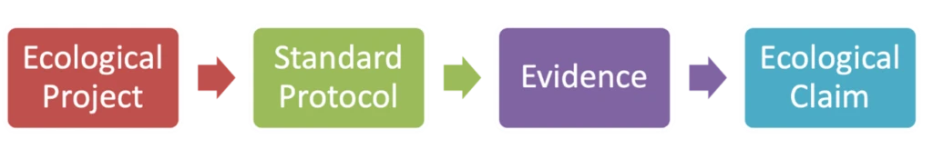 測定・報告・検証 (MRV) プロセス