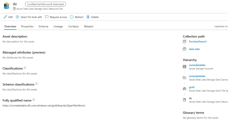 A screenshot of an asset viewed in Purview after the initial scan.