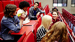A group of students talking about their studies. 