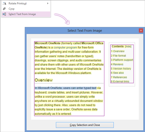 Select text from an image menu