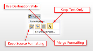 Screenshot of Paste Options button.