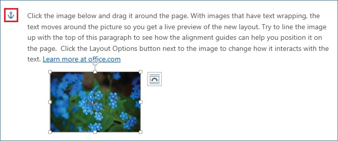 Visible anchor icon Orientation