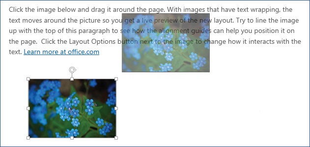 Moving an image in Office 2010 Orientation