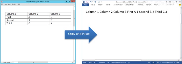 Screenshot of a table that is copied and pasted into Word.