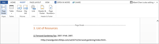 Page Break is displayed