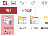 Launch the app in the browser.