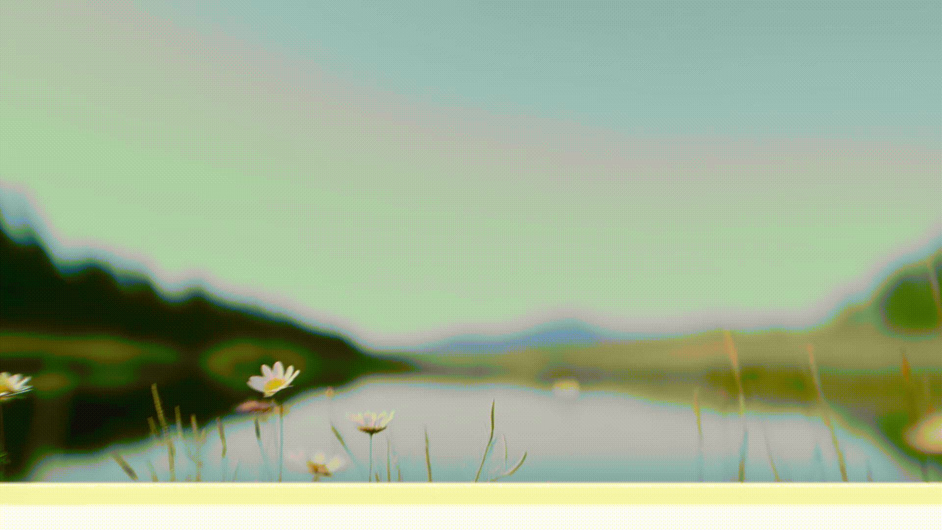 A close-up of user interacting with Copilot interface.