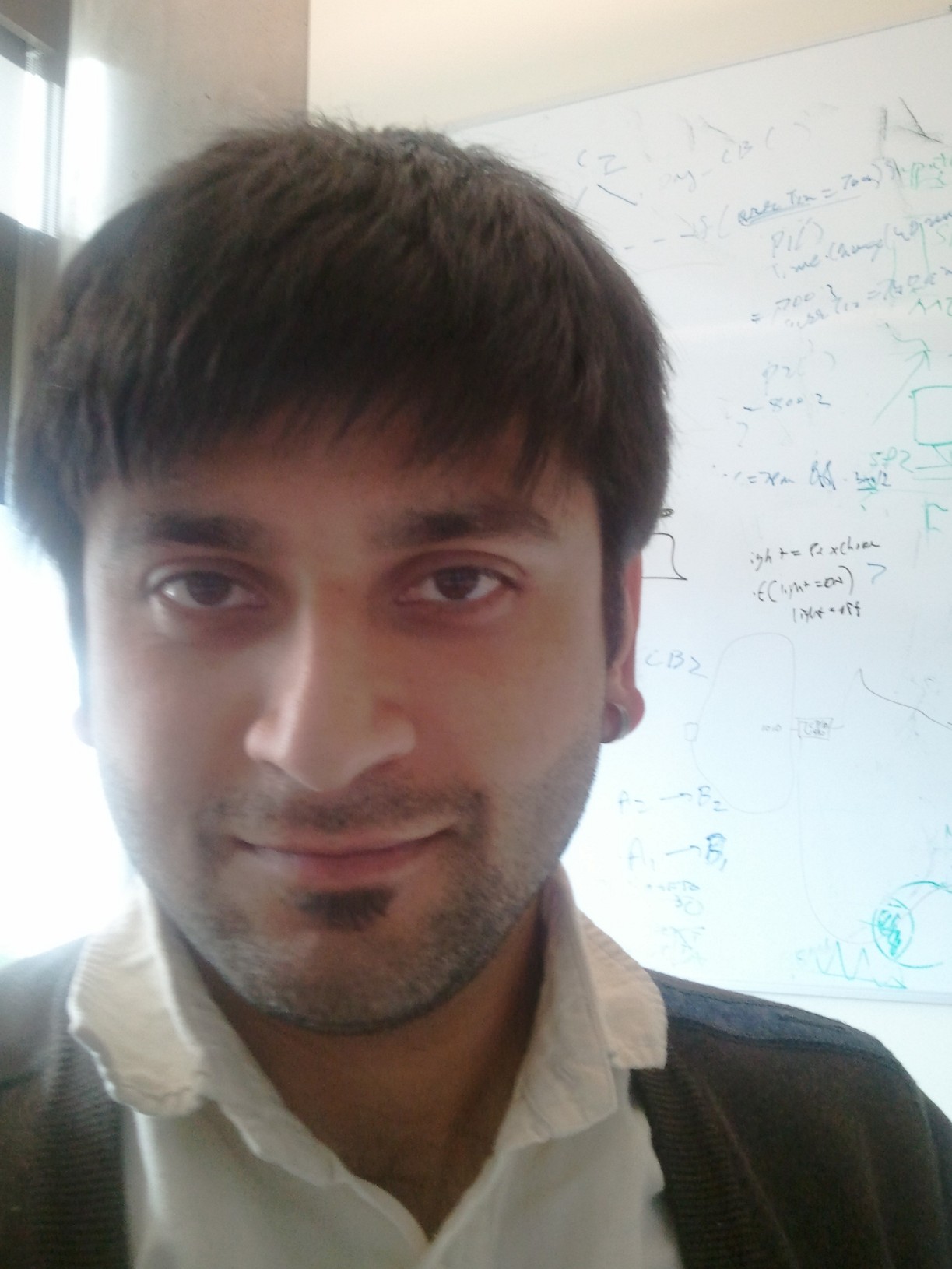 Portrait of Ratul Mahajan