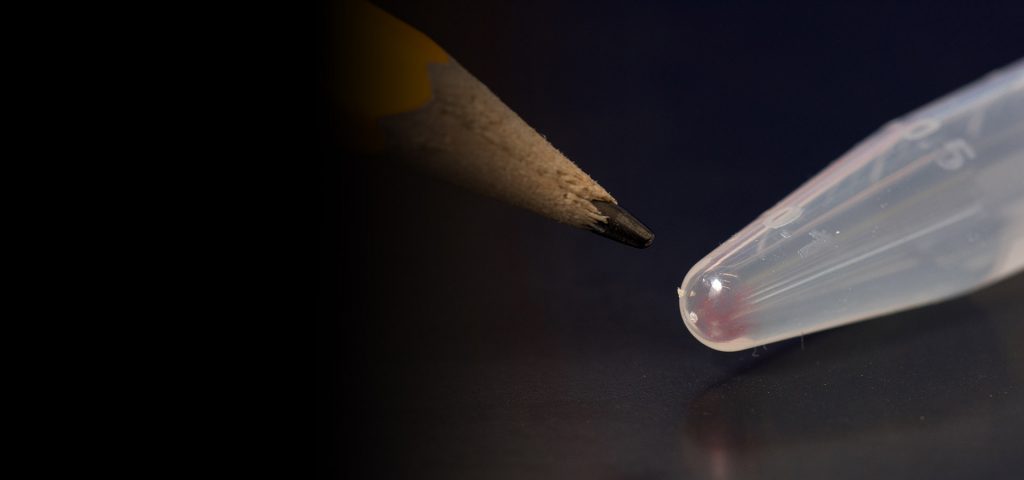 DNA storage: image of a pencil tip and a test tube tip