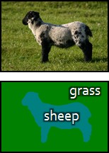 sheep-and-grass example
