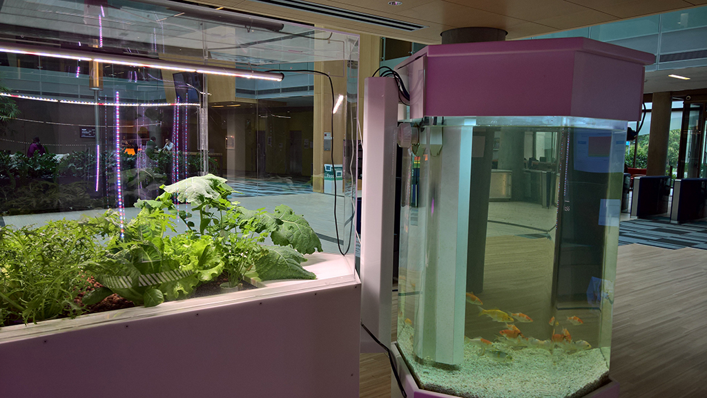 'Food Futures' Artist in Residence exhibit