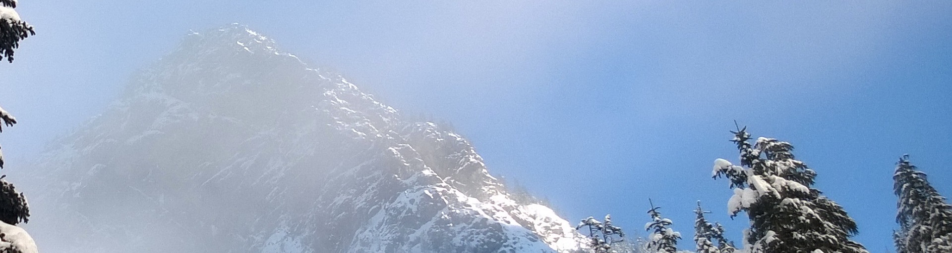 a bird flying over a snow covered mountain