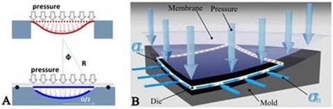 Project Vermont camera lens curvature