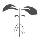 Aquaponic Stage 4: Biofiltration