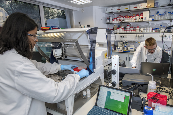 Female scientist running biological experiment with male researcher in background.