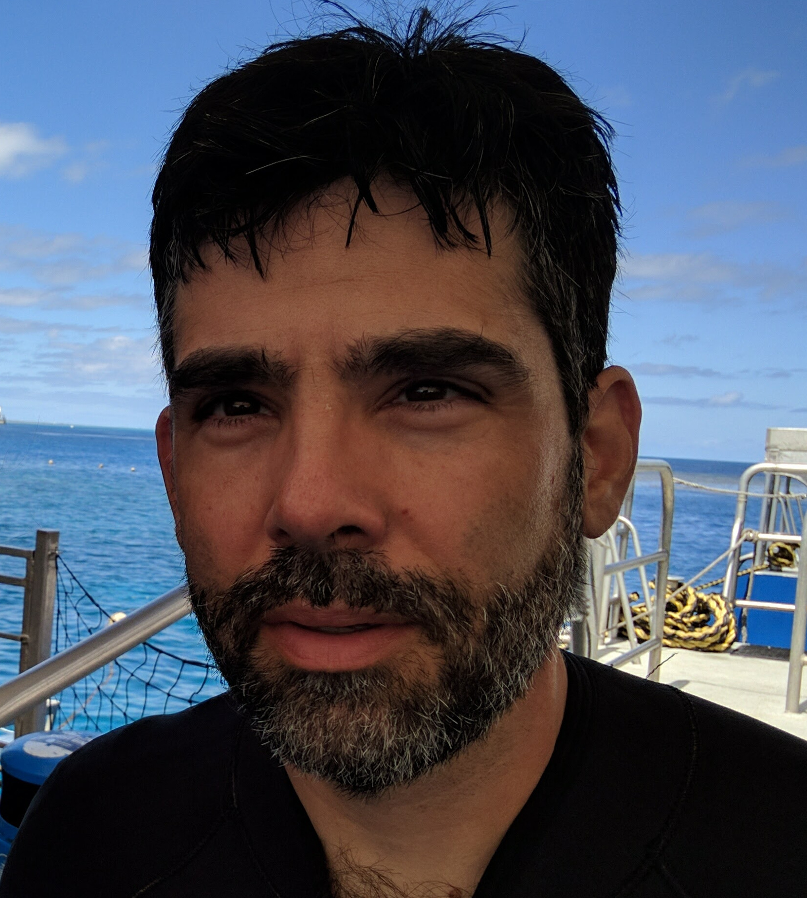 Paul Mineiro的肖像