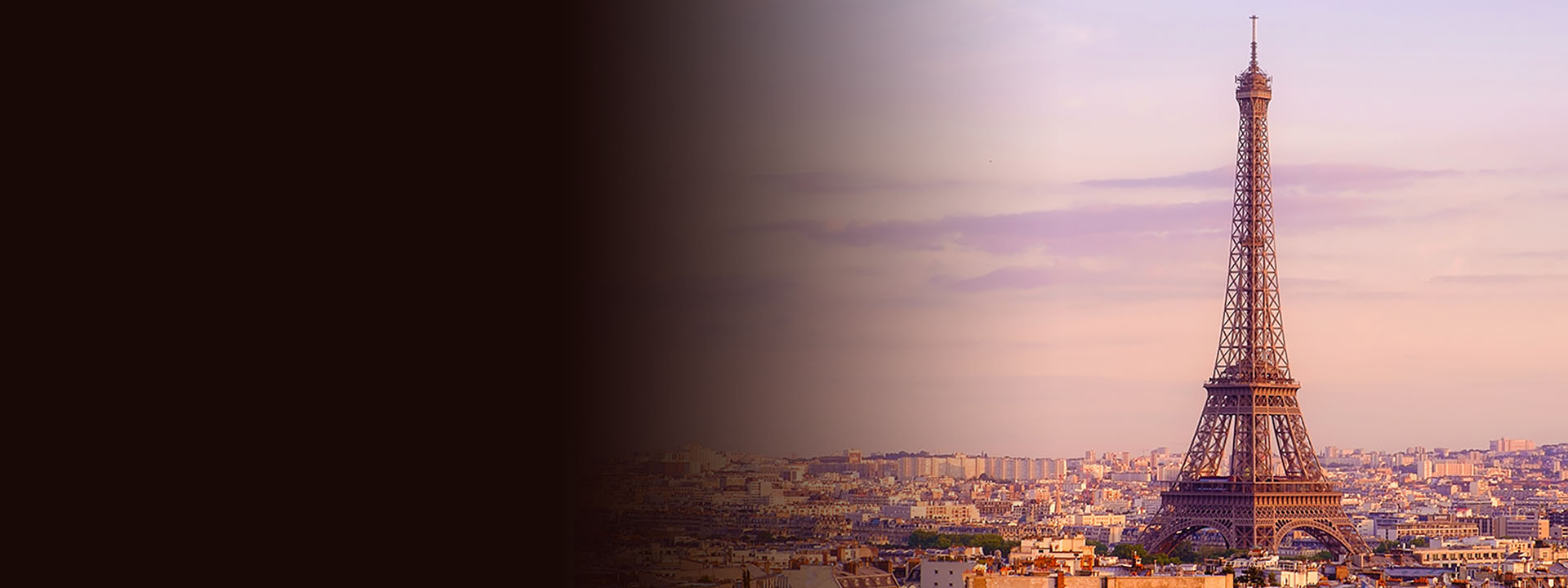 Panoramic view of Paris and Eiffel Tower