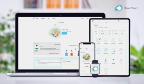 a screen shot of a computer