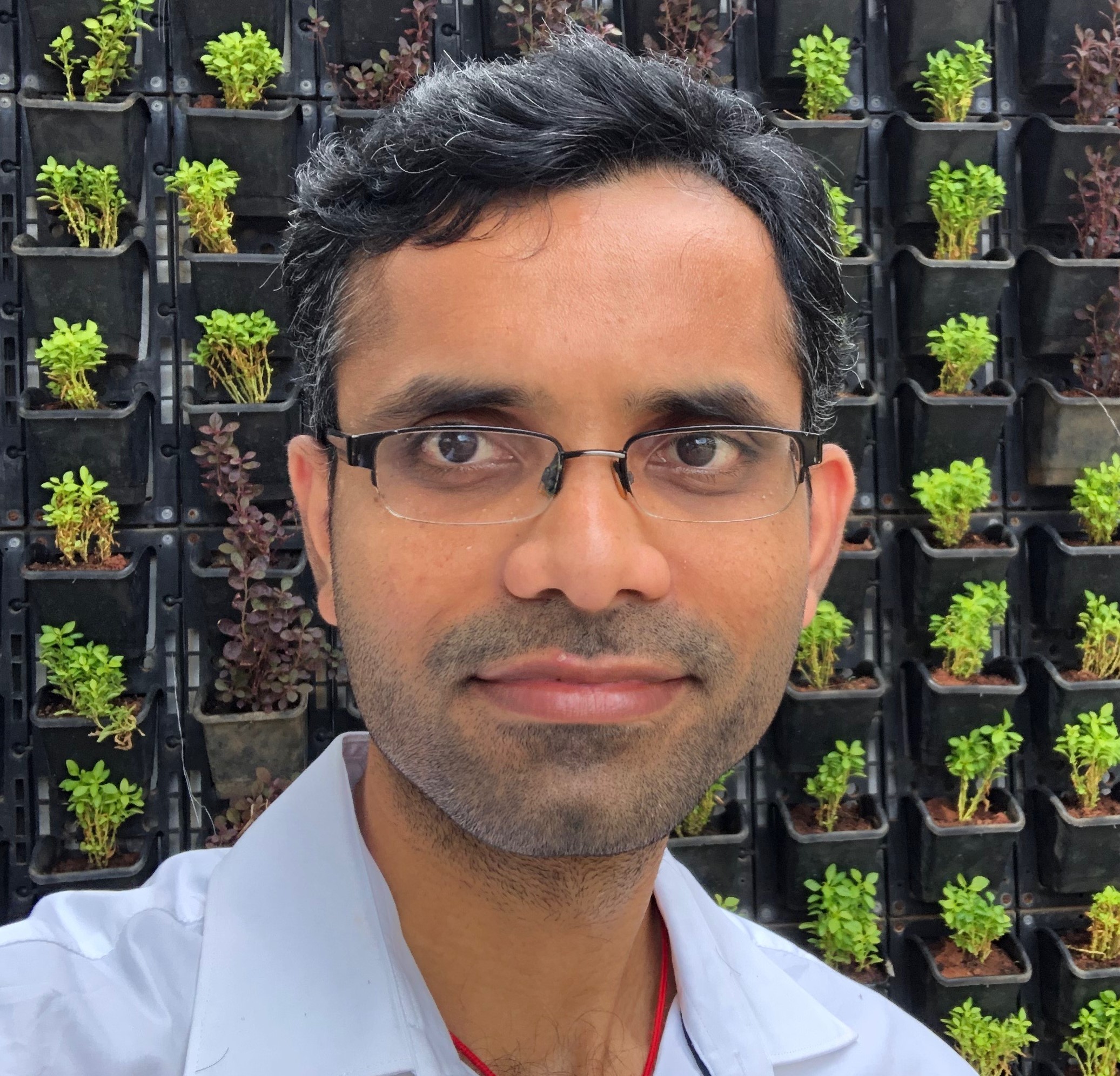 Nagarajan Natarajan的肖像