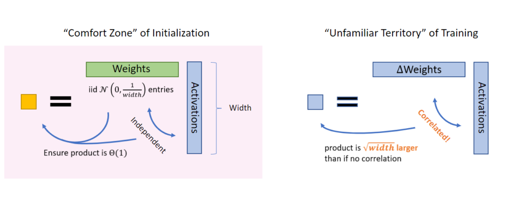 We must go beyond the “comfort zone” of initialization and venture into the “unfamiliar territory” of training. At initialization, the weights are independent from the incoming activations, so their product is easy to reason about (for example, by using Central Limit Theorem); hence initialization is a “comfort zone.” However once training starts, the weights (more precisely, the change in weights due to the gradient updates) start to correlate with the activations, so we must exit this comfort zone. A Law-of-Large-Number intuition would suggest that their product is square-root-of-width larger than if there are no correlation.