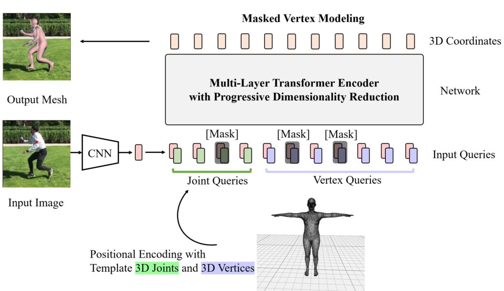 Overview of the proposed framework