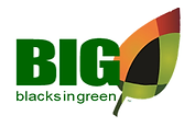 Blacks in Green 