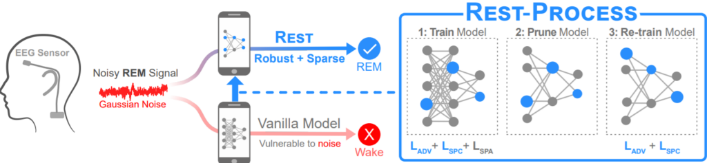 Rest Overview: (from left) When a noisy EEG signal belonging to the REM (rapid eye movement) sleep stage enters a traditional neural network which is vulnerable to noise, it gets wrongly classified as a Wake sleep stage. On the other hand, the same signal is correctly classified as the REM sleep stage by the Rest model which is both robust and sparse. (From right) Rest is a three step process involving (1) training the model with adversarial training, spectral regularization and sparsity regularization (2) pruning the model and (3) re-training the compact model.