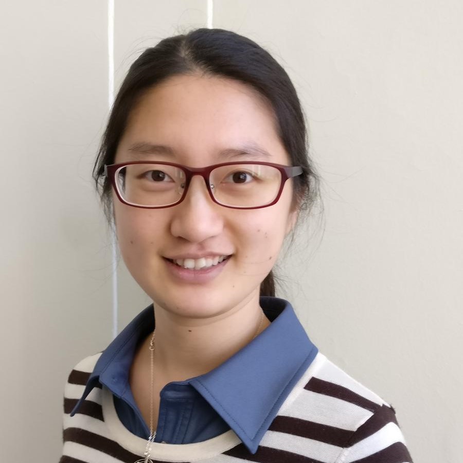 Portrait of Lixin Sun