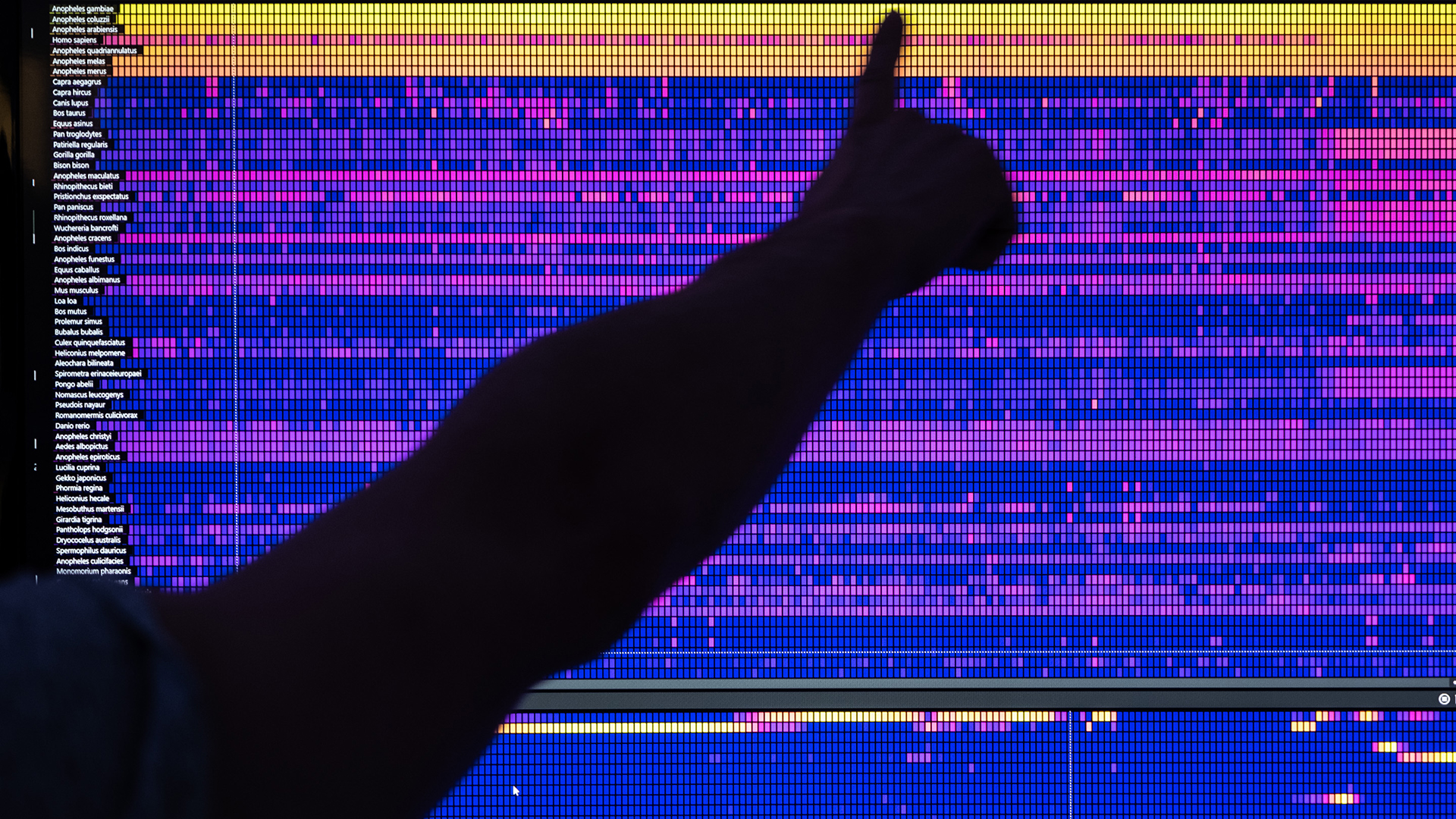 close up image of a finger pointing at a screen of metagenomics data