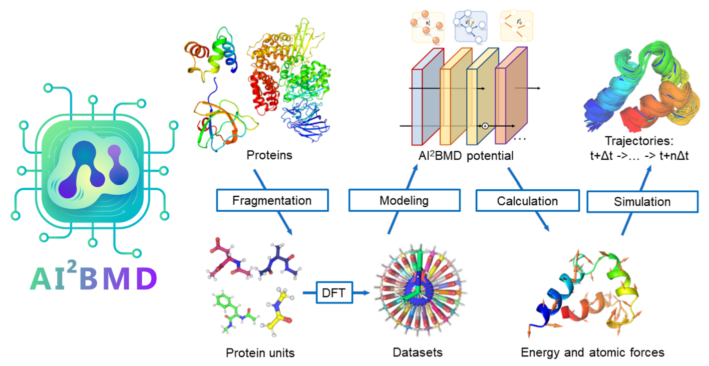 Figure 3. The overall pipeline of AI2BMD (see demos at https://microsoft.github.io/AI2BMD/index.html).  Proteins are divided into protein units by fragmentation process. The AI2BMD potential is designed based on ViSNet, and the datasets are generated at DFT level. It calculates the energy and atomic forces for the whole protein. The AI2BMD simulation system is built upon all these components and provides a generalizable solution to perform simulations for various proteins. It makes ab initio accuracy on energy and force calculations. By comprehensive analysis from both kinetics and thermodynamics, AI2BMD exhibits good alignments with wet-lab experiment data and detects different phenomenon compared with molecular mechanics. 