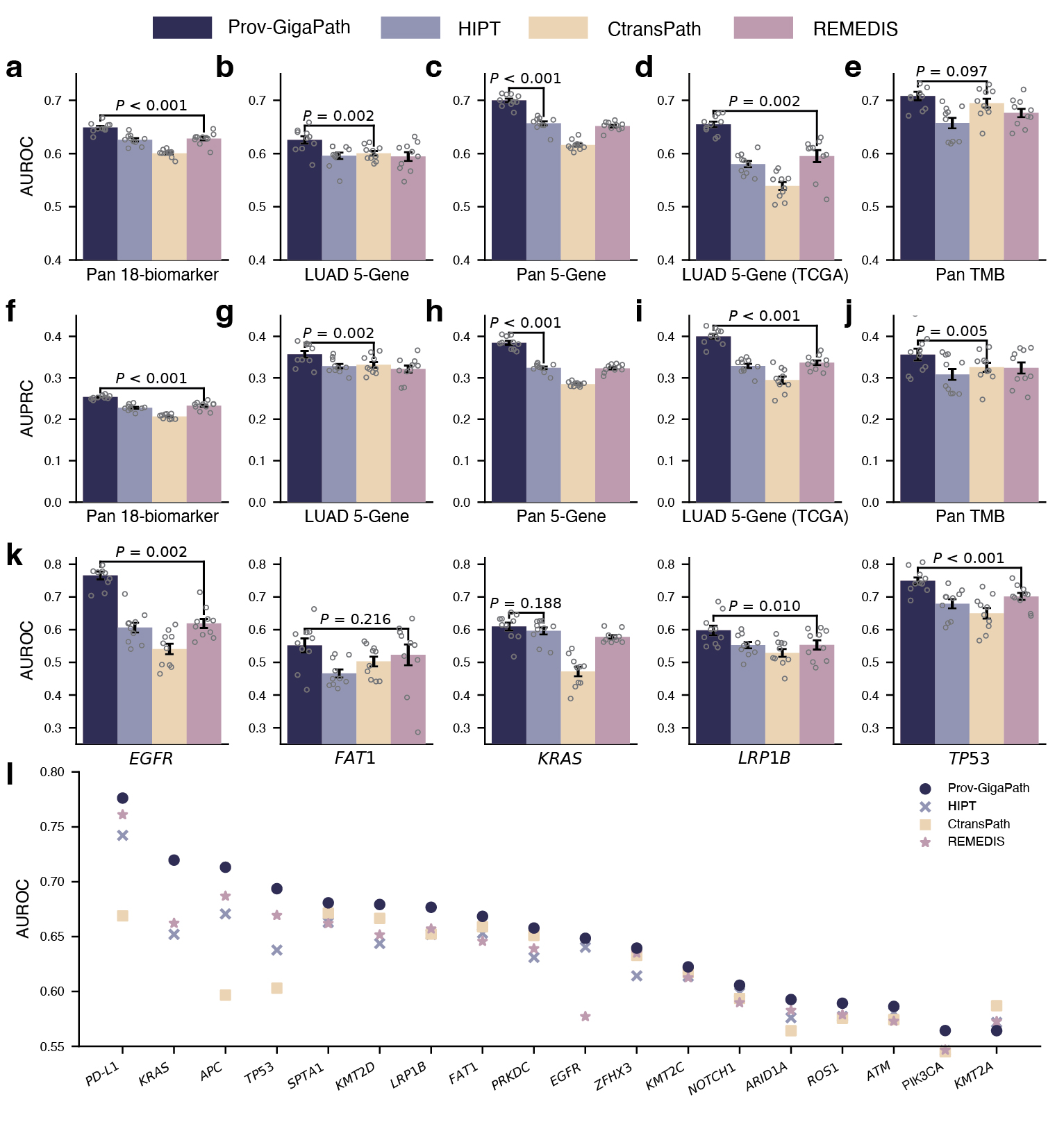 Figure 4: Comparison on gene mutation prediction. a−j, Bar plots comparing the AUROC and AUPRC scores of Prov-GigaPath and competing methods on pan-cancer 18-biomarker (a,f), LUAD-specific 5-gene mutation prediction (b,g), pan-cancer 5-gene mutation prediction (c,h), LUAD-specific 5-gene mutation prediction on TCGA (d,i) and pan-cancer TMB prediction (e,j). k, Bar plot showing AUROC for each gene on LUAD-specific five-gene mutation prediction on TCGA. a−k, Data are mean ± s.e.m. across n = 10 independent experiments. The listed P value indicates the significance for Prov-GigaPath outperforming the best comparison approach, with one-sided Wilcoxon test. l, Comparison of AUROC scores for individual biomarkers in pan-cancer 18-biomarker predictions.