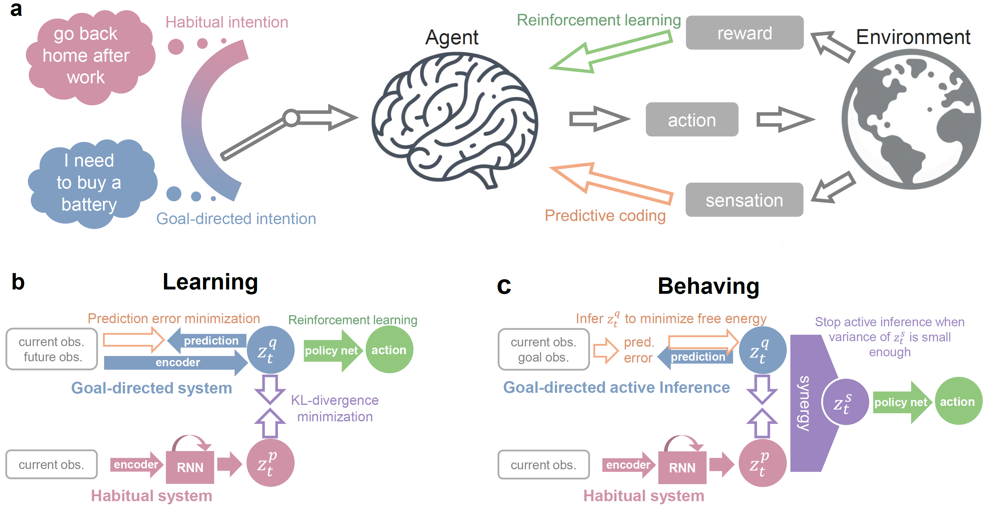 Diagrams showing a: an overview of the Bayesian behavior framework; b: the framework in learning; c: the framework in behaving.