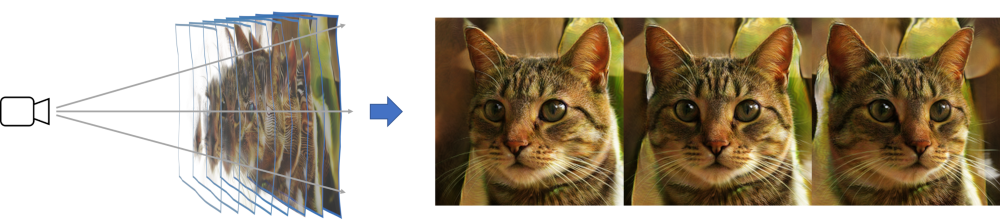 图2：基于神经辐射流形的图像生成过程示意图