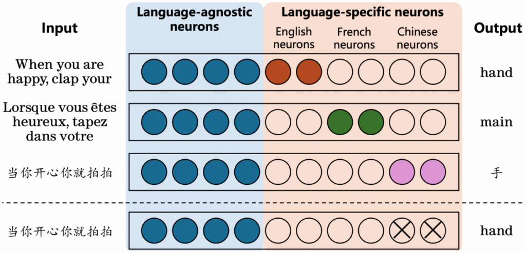 模型处理语义相同但语言不通的文本时，内部神经元的激活情况