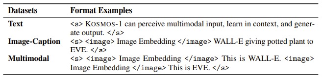 表2：KOSMOS-1 训练阶段使用的数据格式