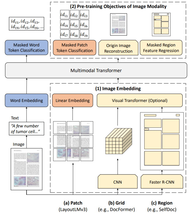 图2：关于图像表示方式和预训练目标的比较