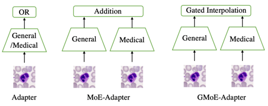 A Large-scale Medical Visual Task Adaptation Benchmark - diagram