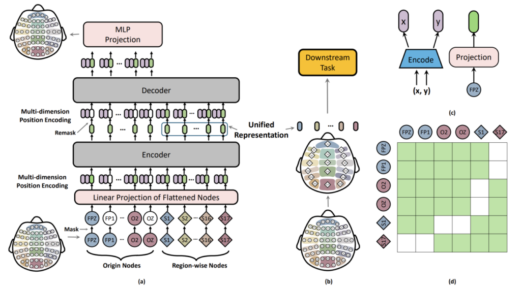 图5:(a) MMM 总体框架;(b) 构建基于脑区的区域级别节点;(c) 多维位置编码;(d) 区域节点与电极节点之间的注意力掩码矩阵