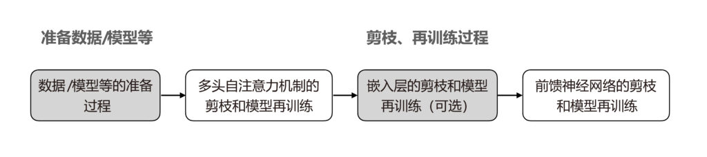 图1:Transformer 系列模型的剪枝流程示意图