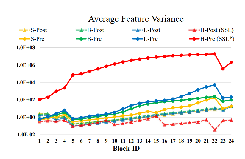 图2：各种大小模型的各层激活值。H大小的模型是在自监督学习阶段训练的，而其他规模的模型则是由分类任务训练的。*表示使用了模型崩溃前第40轮的模型权重。