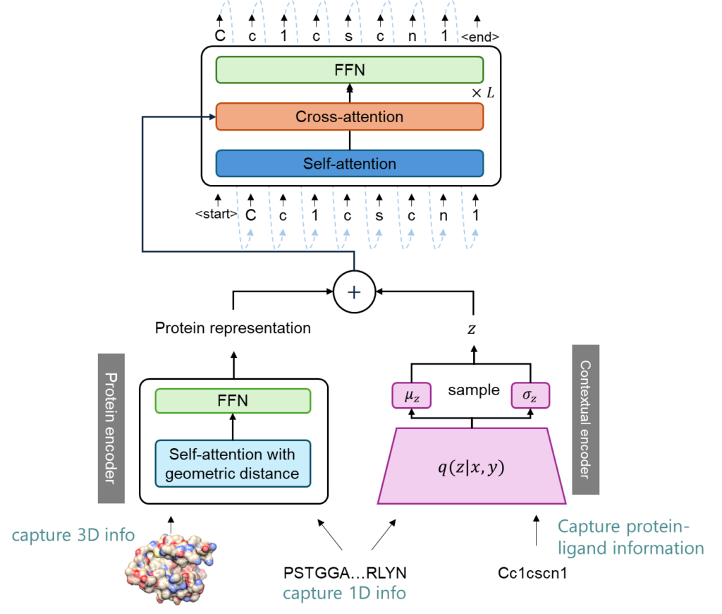 TamGen 的工作流程
