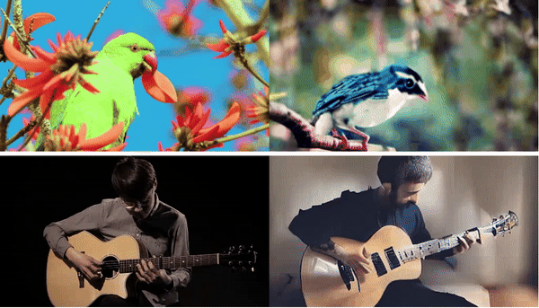 生成视频样例（左：视觉刺激，右：重构样例）