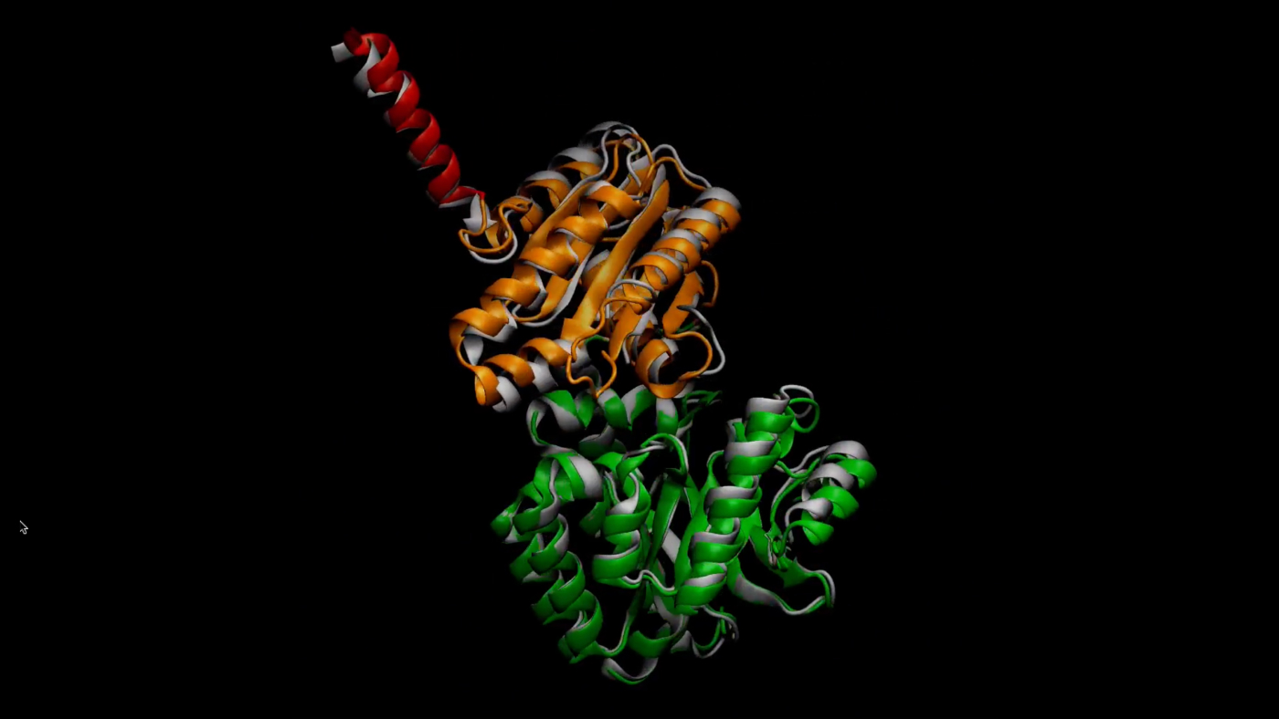 shows samples obtained from BioEmu-1 and plays them from one experimentally known structure to another known structure. The samples from BioEmu-1 are reordered to make the transition between the two experimentally known structures as smooth as possible. The protein consists of two domains. One of the domains rotates almost 180 degrees after the transition interfacing with the other domain on its back side.