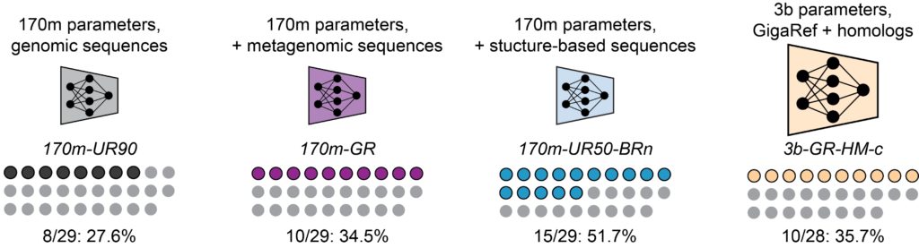 Figure 3: Model scale, metagenomic data, and structure-based augmentation increase the cellular expression rates of Dayhoff-generated proteins.