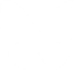 Bluesky logo - white butterfly on transparent background