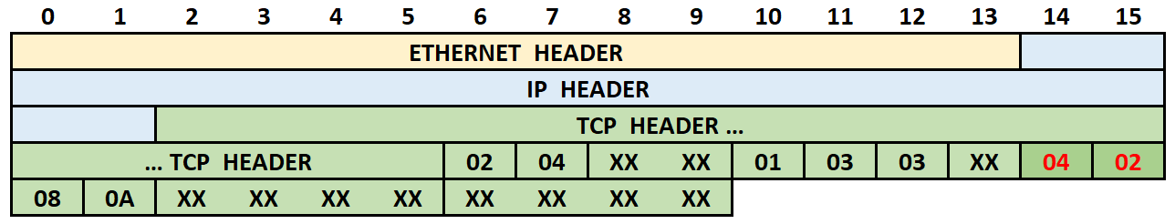 Format of TCP packets that Nodersok is interested in