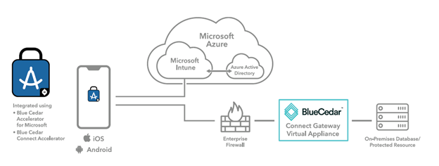 Infographic showing Secure VPN connections to on-premises resources using Blue Cedar 
