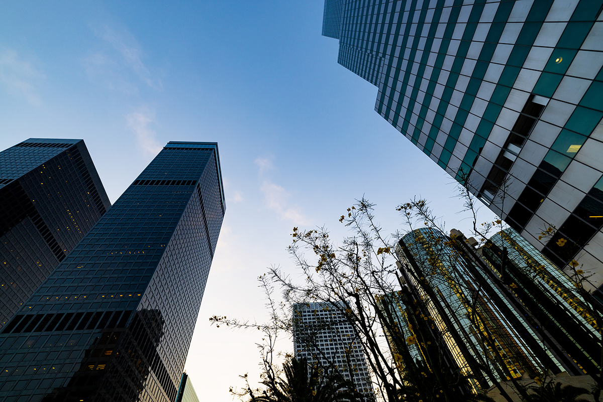 Photo of building architecture and urban greenery